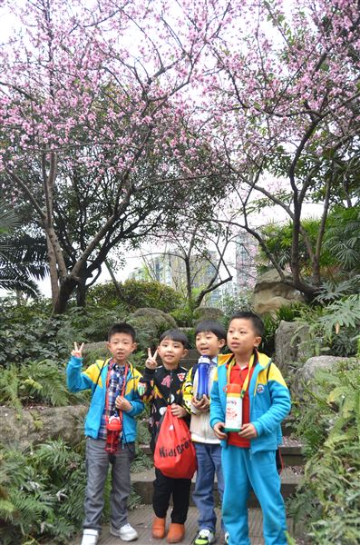 “亲近自然，拥抱春天”——记棠外实验幼稚园春游活动