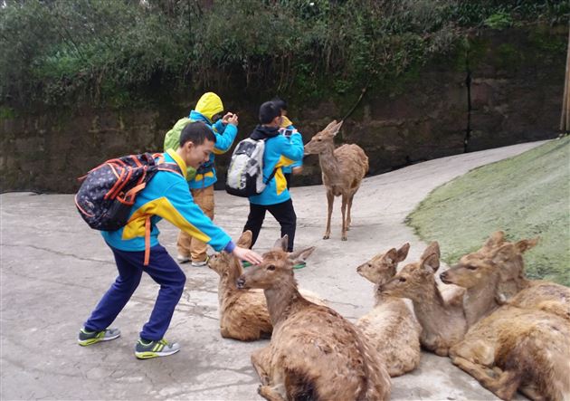 畅游动物园，情满碧峰峡——记棠外附小六年级社会实践活动