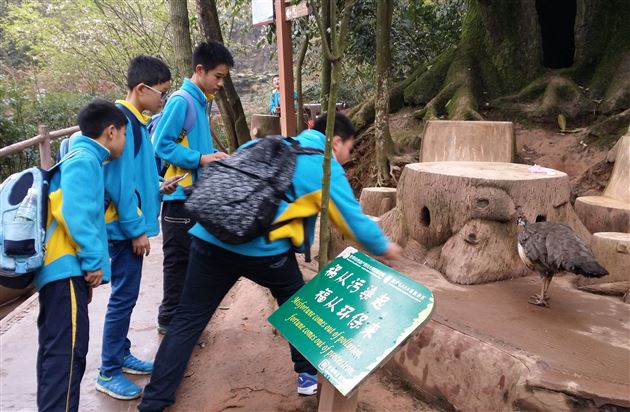 畅游动物园，情满碧峰峡——记棠外附小六年级社会实践活动