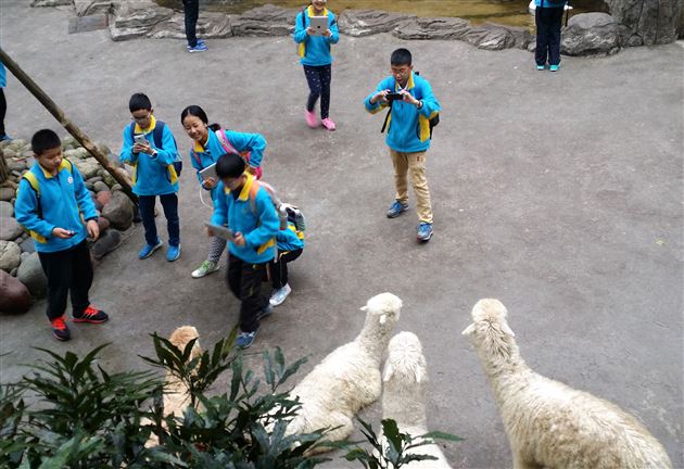 畅游动物园，情满碧峰峡——记棠外附小六年级社会实践活动