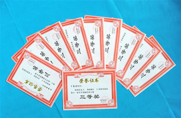 浓浓春意正来 连连佳绩频传——棠外附小参加双流县第十一届学生电脑作品大赛获佳绩