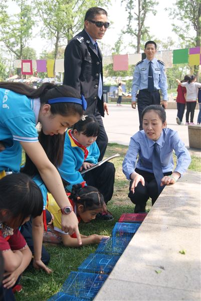 “同在蓝天下，爱鸟在行动”——记双流34届“爱鸟周”儿童画展