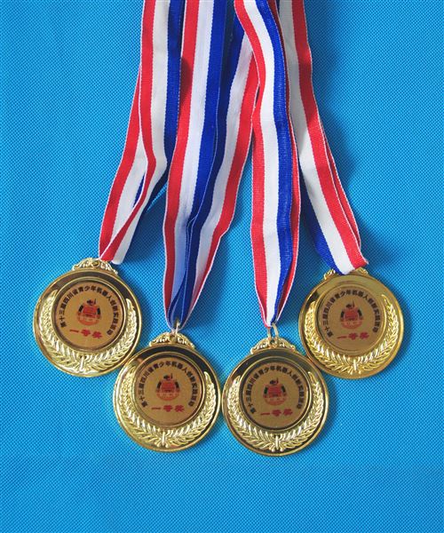 棠外VEX机器人获省赛金牌及亚太机器人中国赛区比赛资格