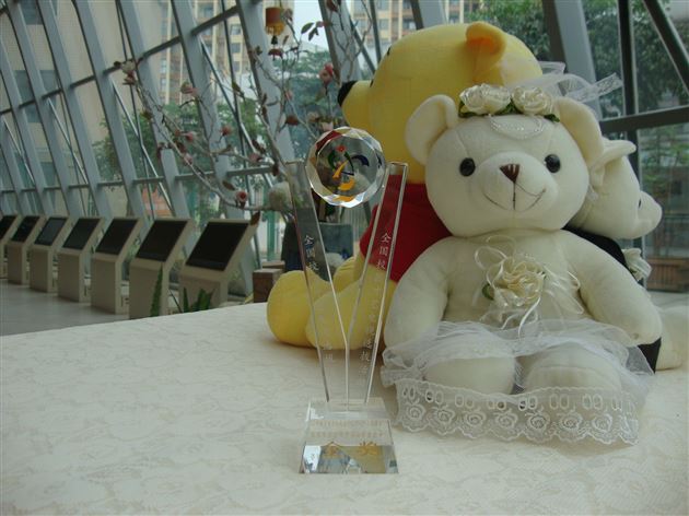 棠外实验幼稚园舞蹈队入京斩获全国金奖