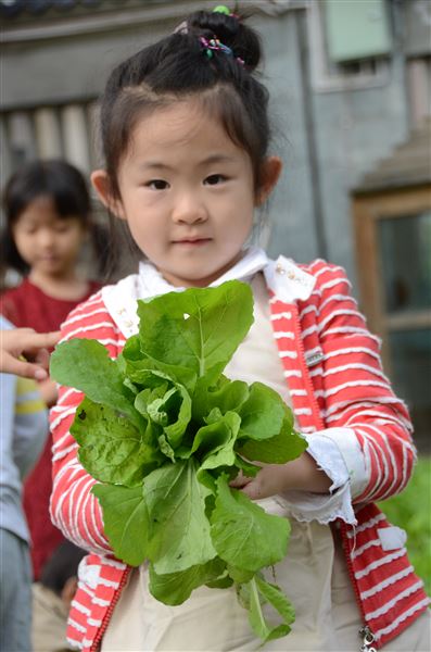 爱心传递，真情永驻——记棠外实验幼稚园蔬菜爱心义卖活动