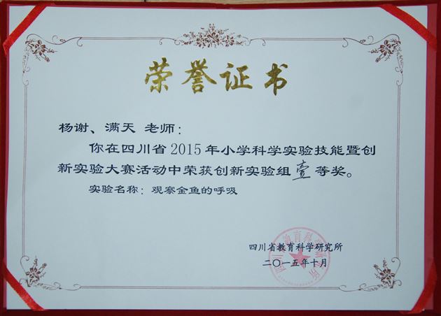 棠外附小教师荣获四川省小学科学实验技能暨创新实验大赛一等奖