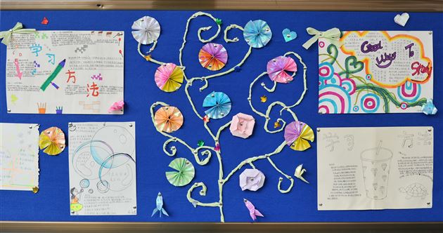 异彩纷呈的班级文化墙——棠外初中部2015年班级文化建设评比揭晓