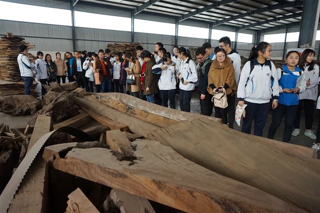 团结协作出成果，积极进取来创新——国际部U-Course（综合素质课程）展示