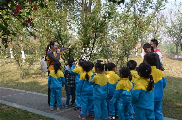 我和春天有个约会——记棠外实验幼稚园亲子春游踏青活动