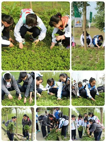 点亮生命 放飞梦想——记棠外初一年级格林庄园踏青体验活动