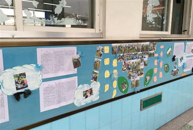 晒晒我和春天的那个“约会”——记棠外初一年级班级文化墙评比