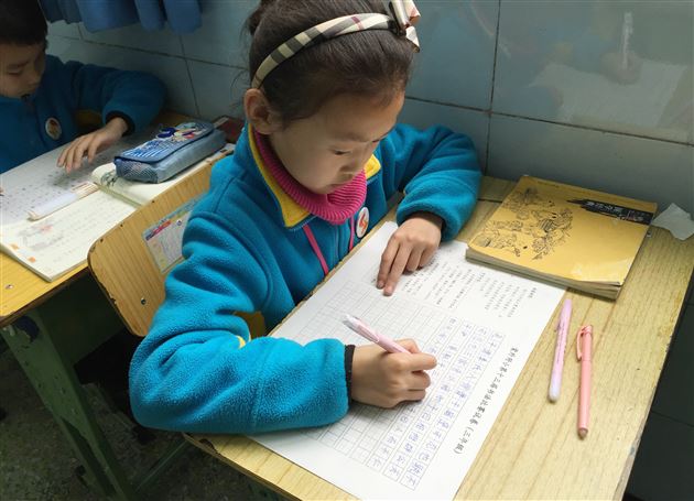 传承经典文化  书写精彩人生——棠外附小举行第十三届硬笔书法比赛