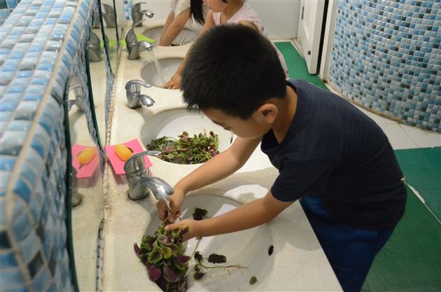 小农场丰收啦——记棠外实验幼稚园蔬菜爱心义卖活动