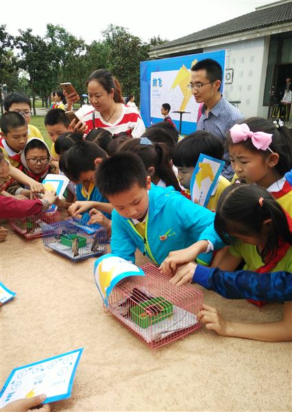 放飞属于未来的未来——棠外附小师生参加双流区第35届“爱鸟周”艺术创意绘画活动