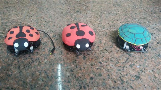 小小创客首秀西村——棠外附小参加四川省首届青少年创客大赛获佳绩