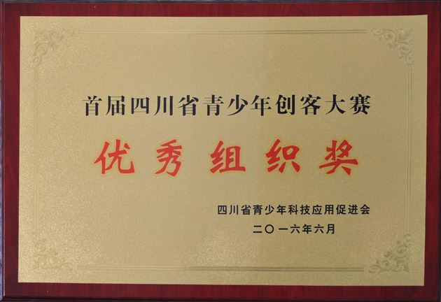 喜报：棠外高中部“汽车车身模型设计”项目参加“首届四川省青少年创客大赛”获冠军