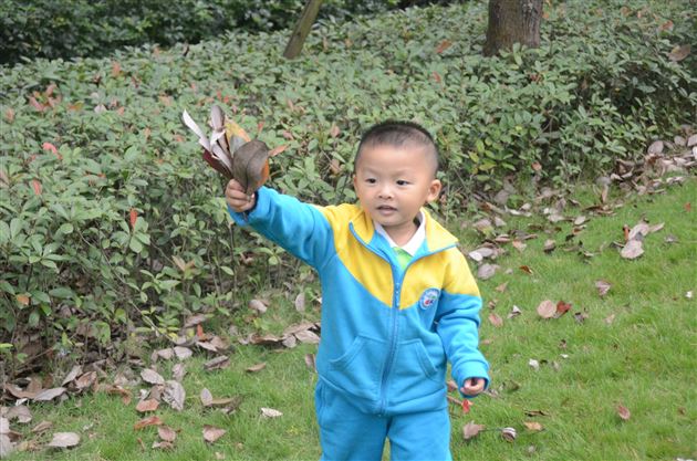 寻找秋天的痕迹——记棠外实验幼儿园婴小班秋游社会实践活动
