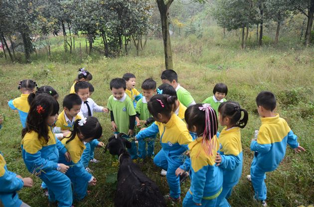 亲子同游，亲近自然——记棠外实验幼儿园中大班秋游社会实践活动