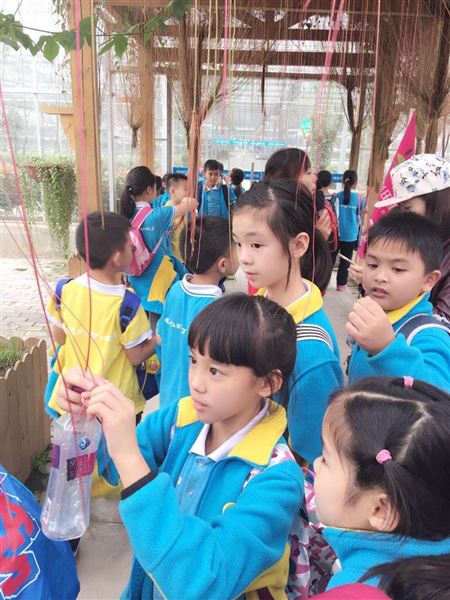 快乐实践 幸福成长——棠外附小成功举行2016年秋季学生社会实践活动