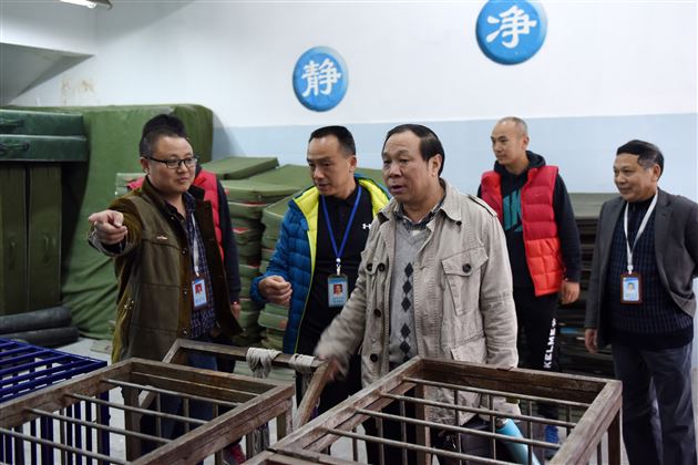 三年铸一剑 今朝气宇轩——成都棠湖外国语学校成功通过阳光体育示范学校复查验收