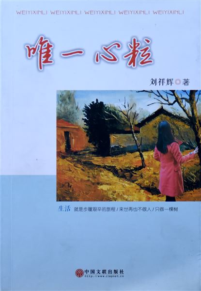 轻拾一路山水 沉香一生智慧——棠外教师在著书立说的道路上砥砺前行