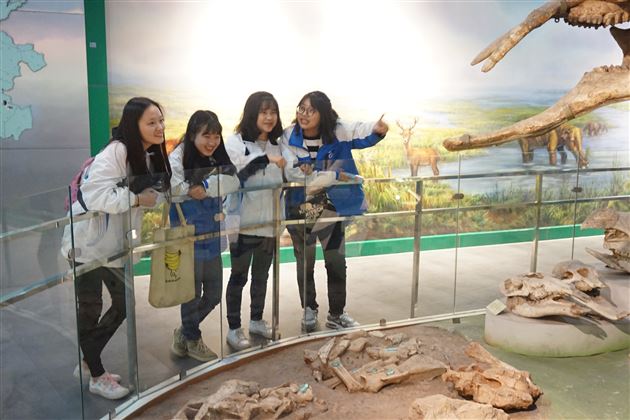 中原研学旅行系列报道（四）