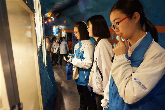 中原研学旅行系列报道（四）