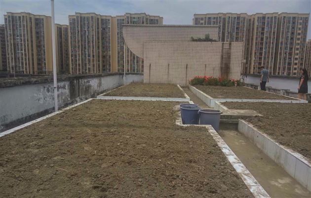 开心植物园——《让生物从理论走向实践》系列活动