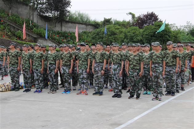 青春在拼搏坚守中绽放——记棠外高2017级新生军训