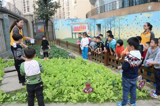 棠外实验幼儿园曾熊丹、贺倩两位老师获教育局表彰