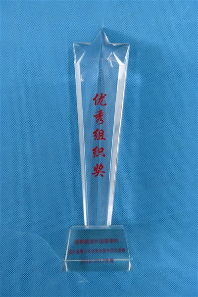 喜报：棠外荣获“四川省青少年信息学奥林匹克竞赛2016-2017年度优秀组织奖”