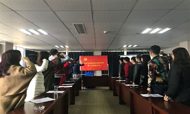 深入学习十九大精神，认真践行“两学一做”——记棠外第二党支部初一党小组党建活动