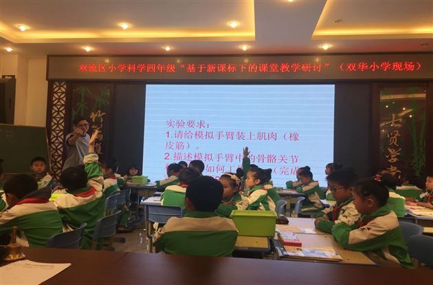 棠外附小代乾中老师献课双流区科学教研活动