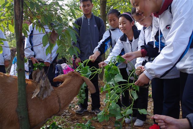 不忘初心跟党走 学业实践双一流——记棠外初2017级鑫桂源农业科技园社会实践活动