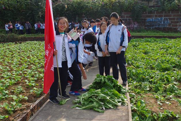 不忘初心跟党走 学业实践双一流——记棠外初2017级鑫桂源农业科技园社会实践活动