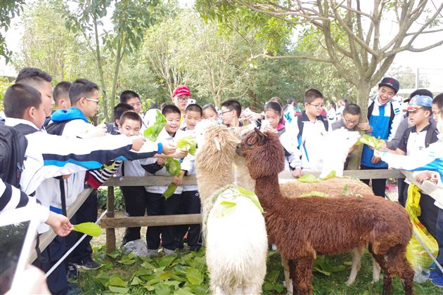 不忘初心跟党走 学业实践双一流——记棠外初2017级鑫桂源农业科技园社会实践活动