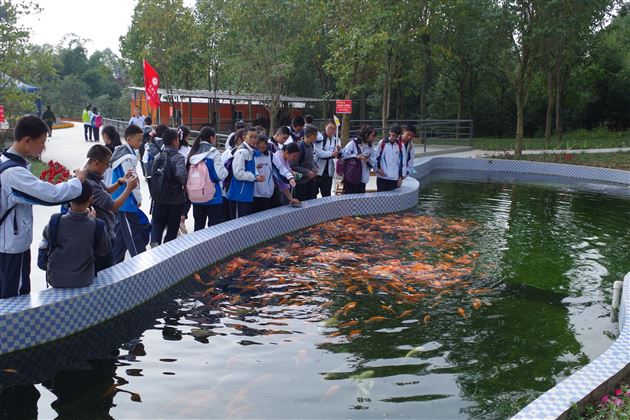 不忘初心跟党走 学业实践双一流——记棠外初2017级鑫桂源农业科技园社会实践活动