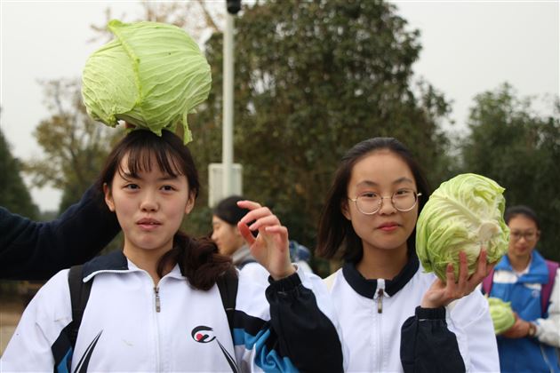 不忘初心实践，砥砺前行追梦——记棠外初2015级综合社会实践活动