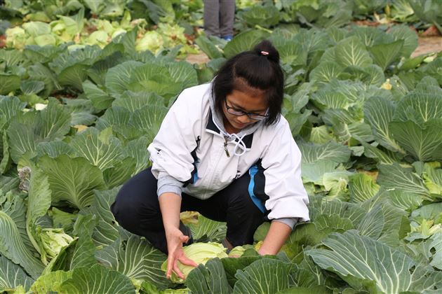 不忘初心实践，砥砺前行追梦——记棠外初2015级综合社会实践活动