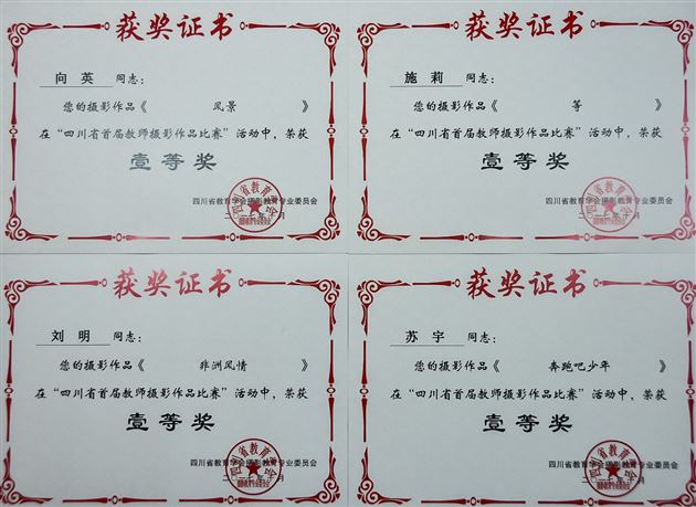 摄影大咖齐聚年会讨论摄影教育 棠外教师影赛获奖彰显艺术底蕴——2017年四川省教育学会摄影专委会年会在我校举行