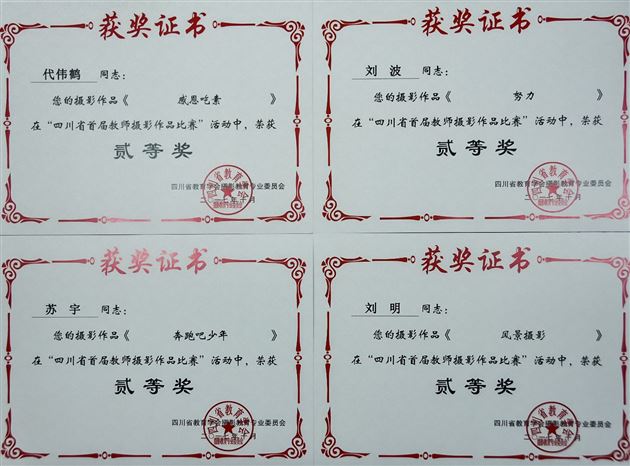 摄影大咖齐聚年会讨论摄影教育 棠外教师影赛获奖彰显艺术底蕴——2017年四川省教育学会摄影专委会年会在我校举行