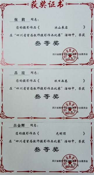 摄影大咖齐聚年会讨论摄影教育 棠外教师影赛获奖彰显艺术底蕴——2017年四川省教育学会摄影专委会年会在我校举行