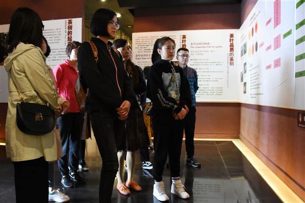 探寻茶马古道 追寻红色记忆