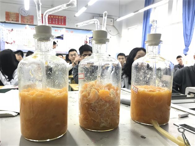 生物实验——在生活中寻找理论的丝丝魅影