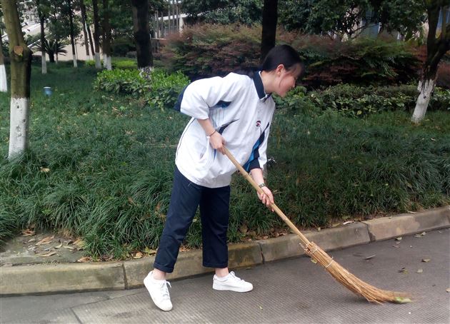 在汗水中磨练 在反思中成长——棠外初2016级17班社会实践总结