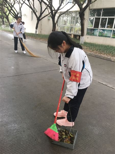 在汗水中磨练 在反思中成长——棠外初2016级17班社会实践总结