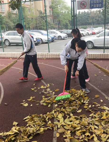 在汗水中磨练 在反思中成长——棠外初2016级17班社会实践总结