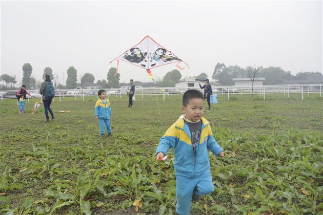 拾一春芳华  留一片回忆——棠外实验幼儿园2018春游记