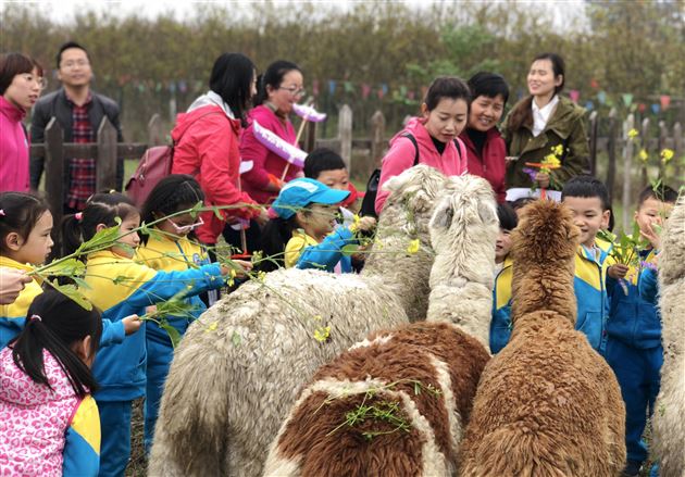 拾一春芳华  留一片回忆——棠外实验幼儿园2018春游记