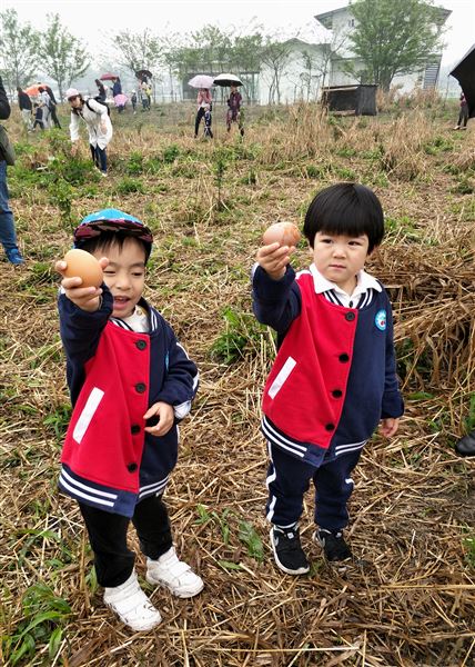 拾一春芳华  留一片回忆——棠外实验幼儿园2018春游记